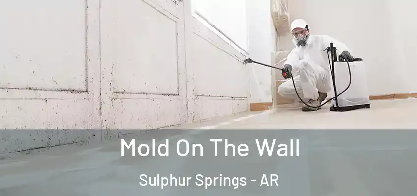  Mold On The Wall Sulphur Springs - AR