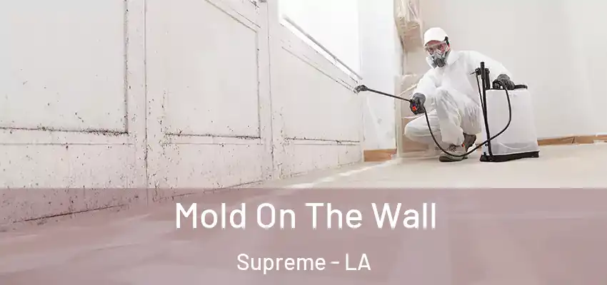Mold On The Wall Supreme - LA