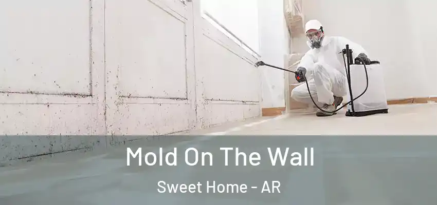  Mold On The Wall Sweet Home - AR