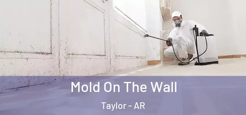  Mold On The Wall Taylor - AR