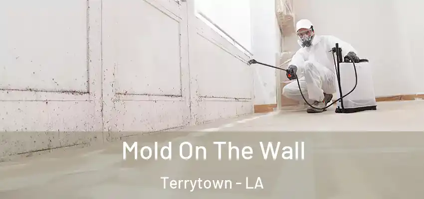 Mold On The Wall Terrytown - LA