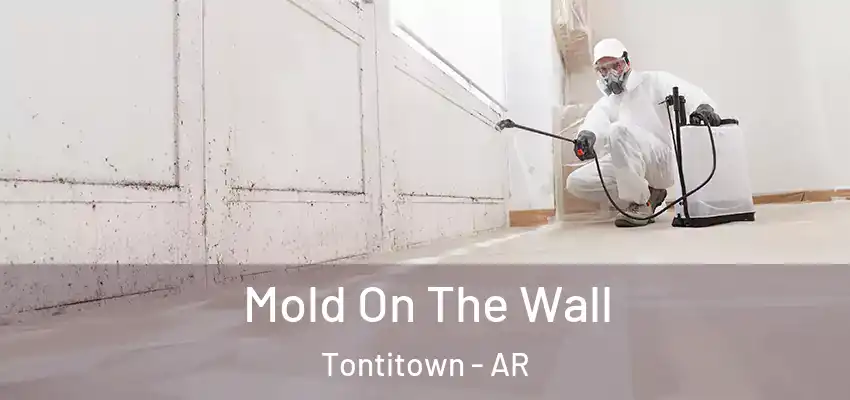 Mold On The Wall Tontitown - AR