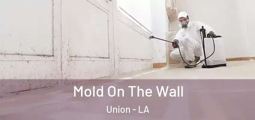  Mold On The Wall Union - LA