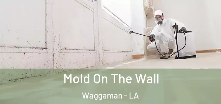  Mold On The Wall Waggaman - LA