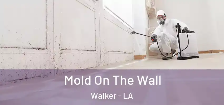  Mold On The Wall Walker - LA
