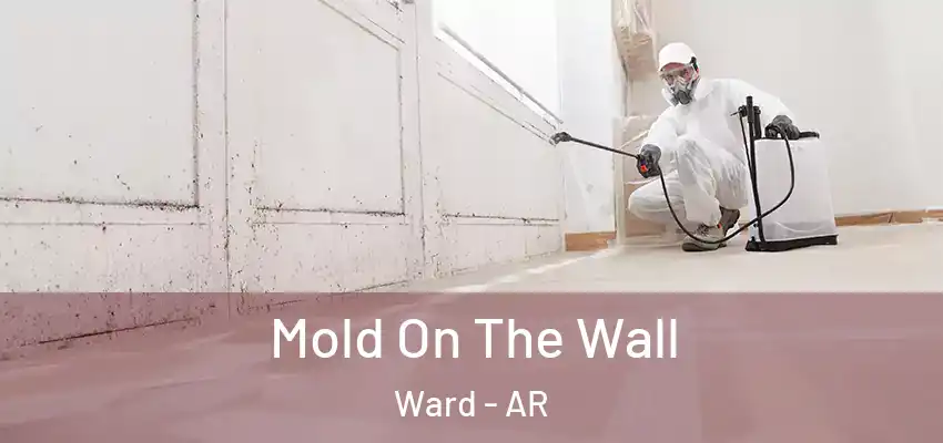  Mold On The Wall Ward - AR