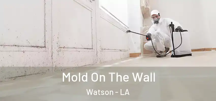  Mold On The Wall Watson - LA