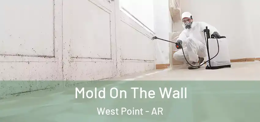  Mold On The Wall West Point - AR