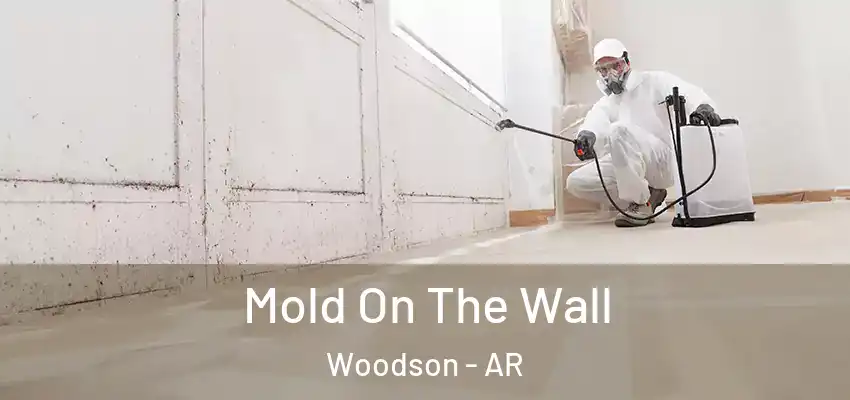  Mold On The Wall Woodson - AR