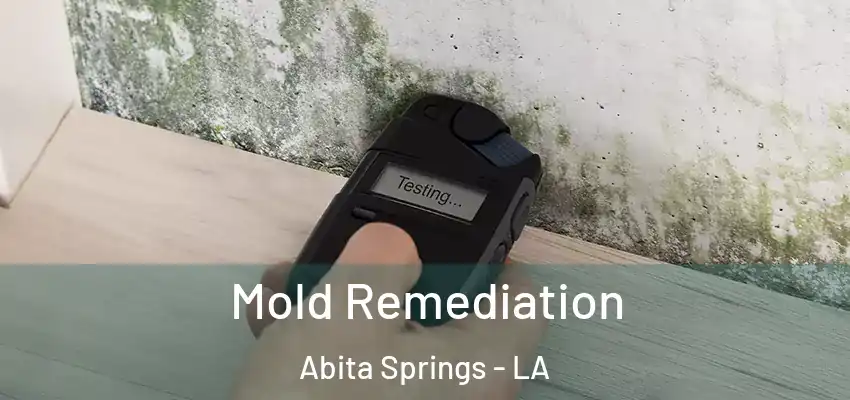  Mold Remediation Abita Springs - LA