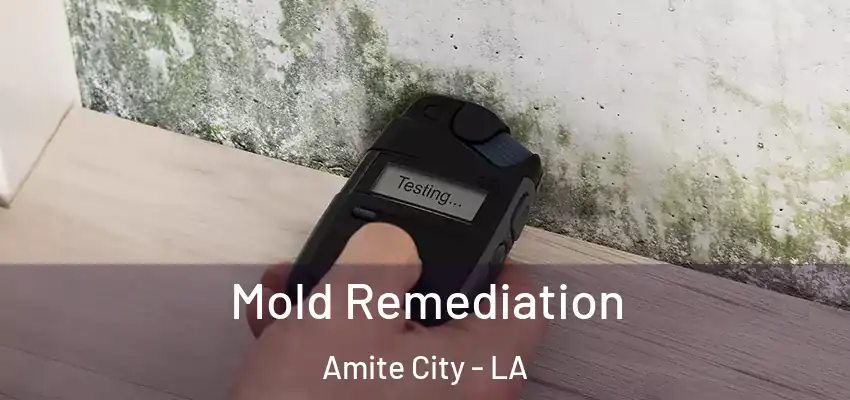  Mold Remediation Amite City - LA