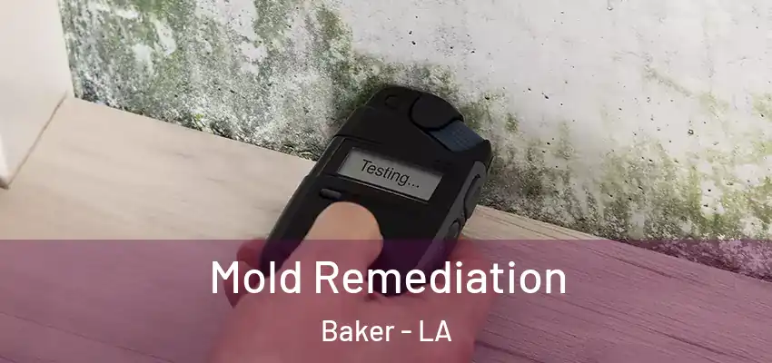  Mold Remediation Baker - LA