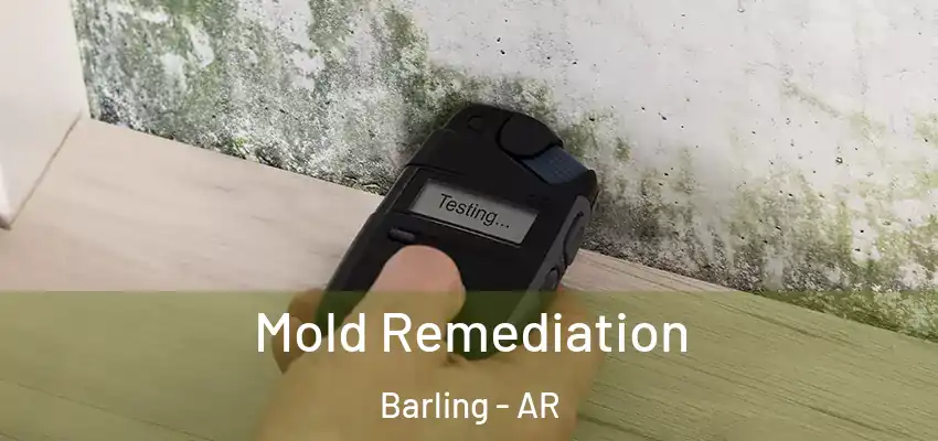  Mold Remediation Barling - AR