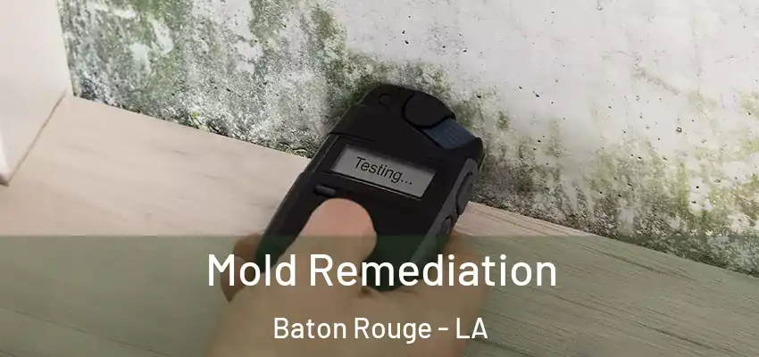 Mold Remediation Baton Rouge - LA