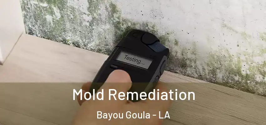  Mold Remediation Bayou Goula - LA