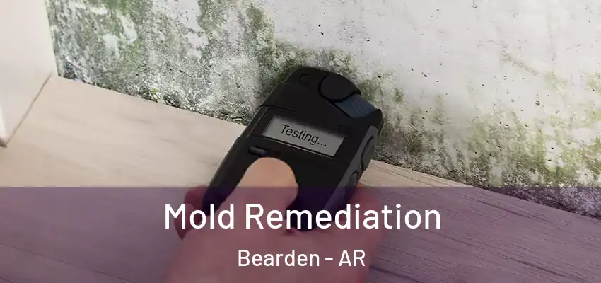  Mold Remediation Bearden - AR