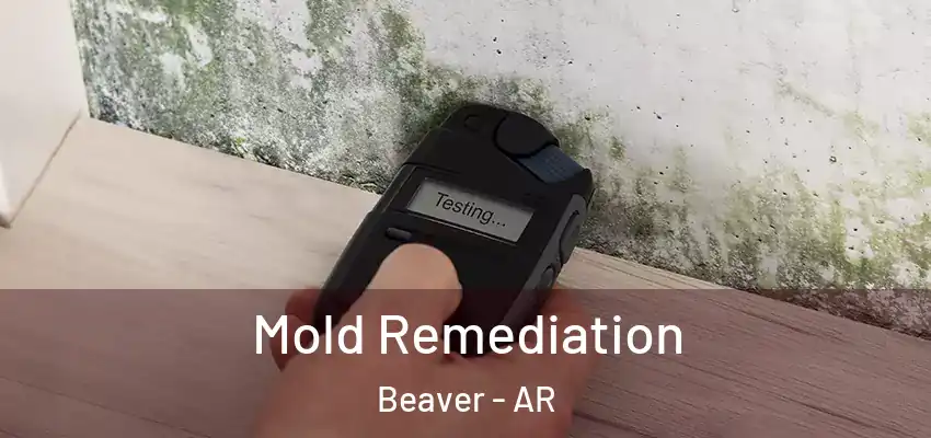  Mold Remediation Beaver - AR