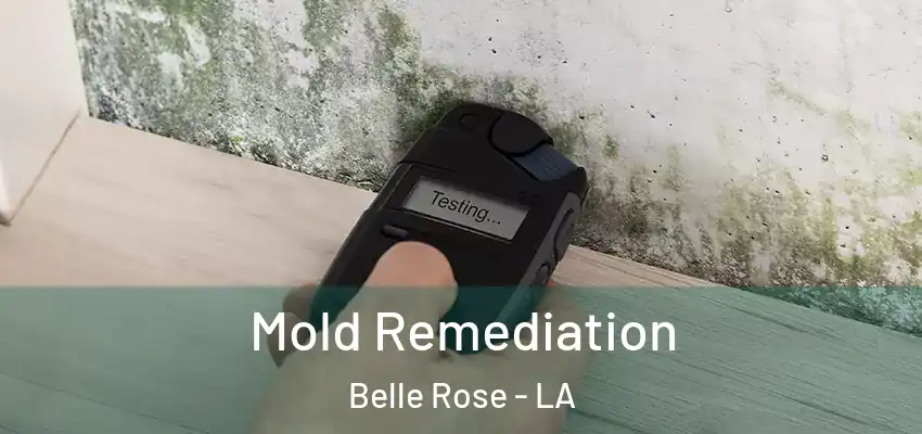  Mold Remediation Belle Rose - LA
