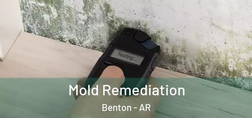  Mold Remediation Benton - AR