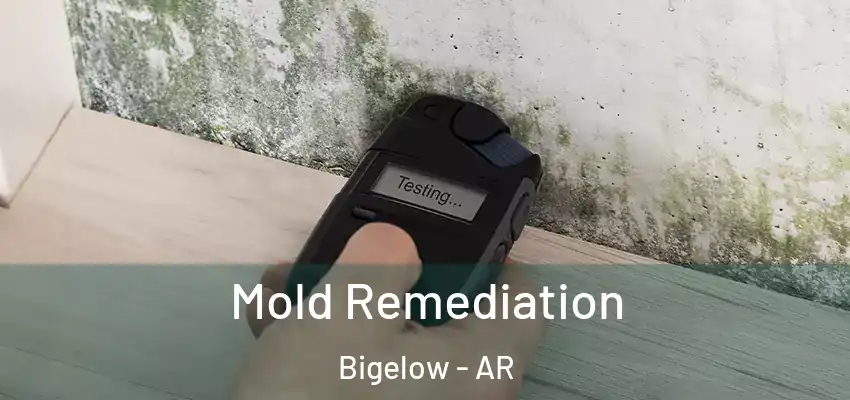 Mold Remediation Bigelow - AR