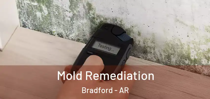 Mold Remediation Bradford - AR