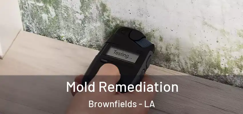  Mold Remediation Brownfields - LA