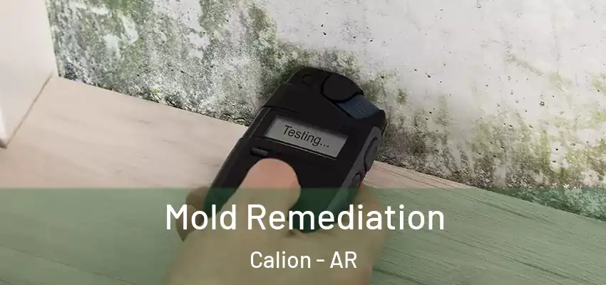  Mold Remediation Calion - AR