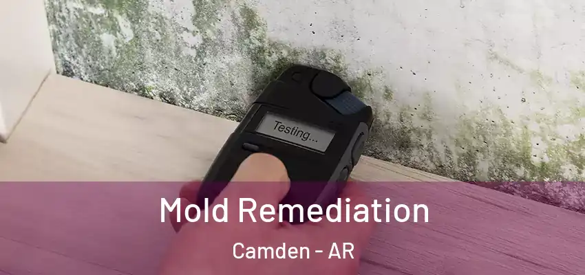  Mold Remediation Camden - AR