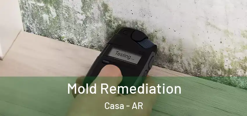 Mold Remediation Casa - AR