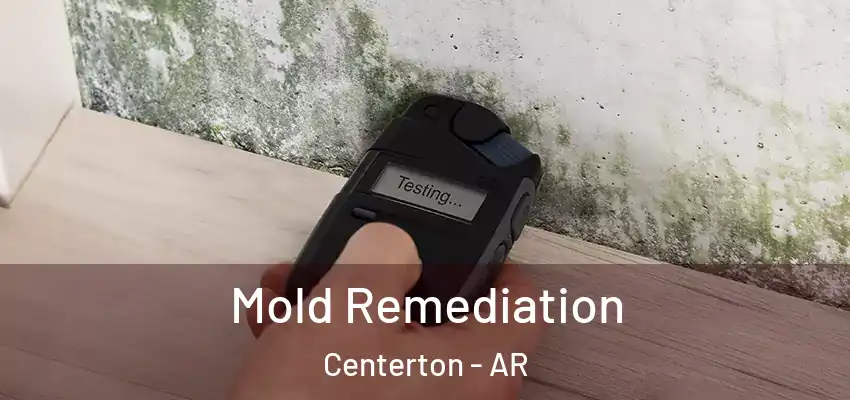  Mold Remediation Centerton - AR