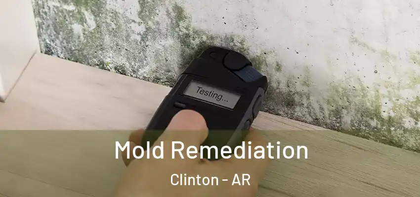  Mold Remediation Clinton - AR
