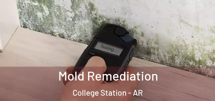  Mold Remediation College Station - AR
