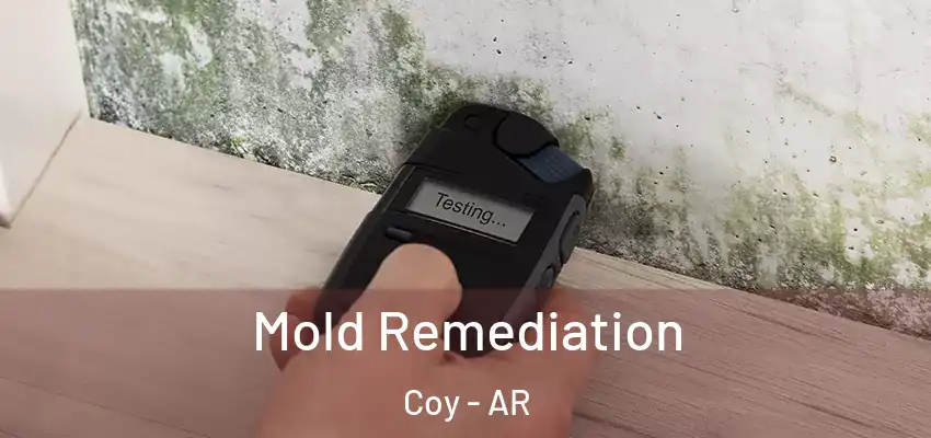  Mold Remediation Coy - AR