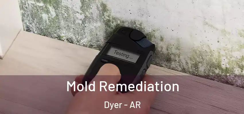  Mold Remediation Dyer - AR