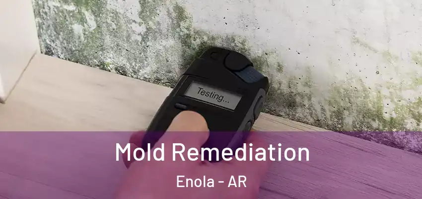  Mold Remediation Enola - AR