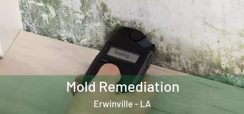  Mold Remediation Erwinville - LA