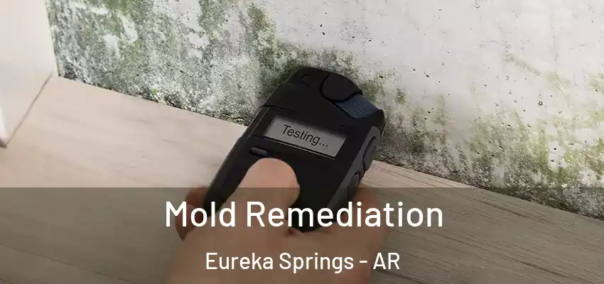  Mold Remediation Eureka Springs - AR