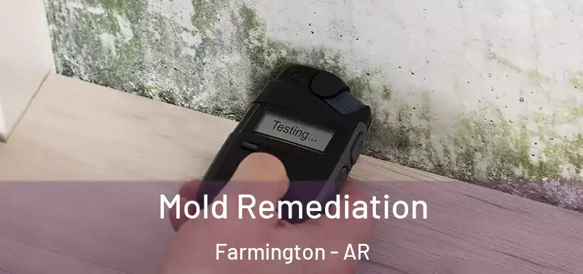  Mold Remediation Farmington - AR