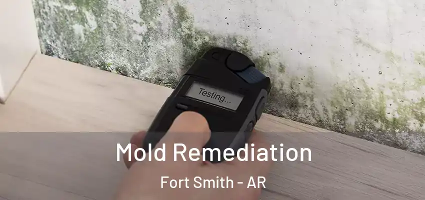  Mold Remediation Fort Smith - AR