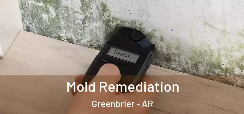  Mold Remediation Greenbrier - AR