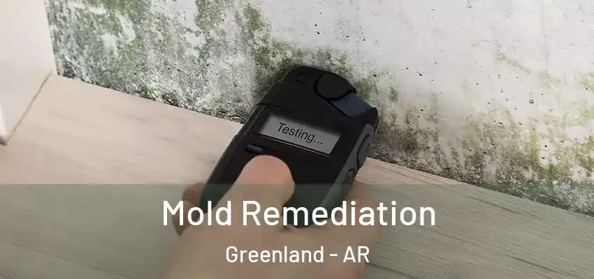 Mold Remediation Greenland - AR
