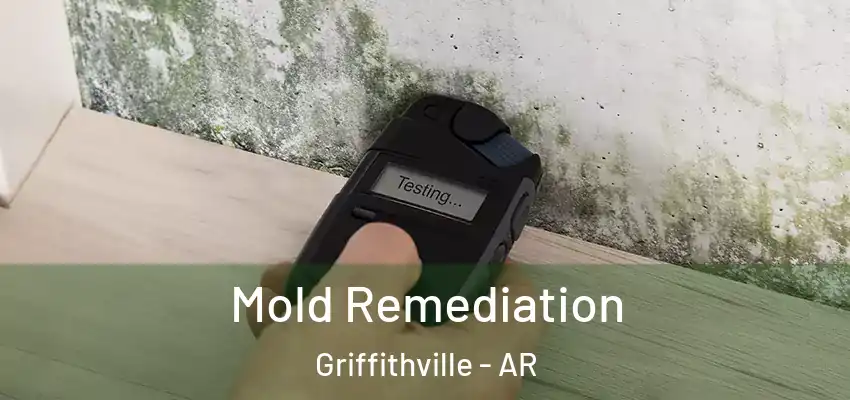  Mold Remediation Griffithville - AR