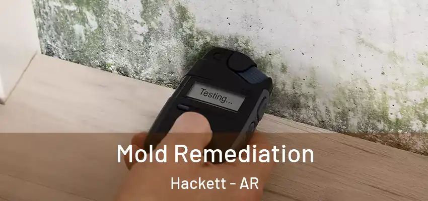  Mold Remediation Hackett - AR