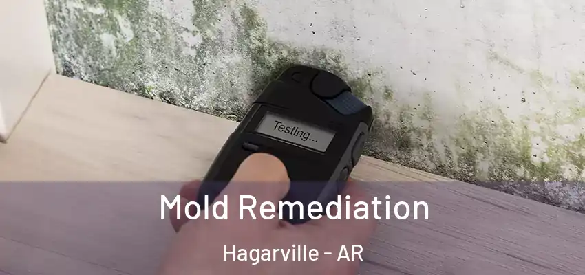  Mold Remediation Hagarville - AR