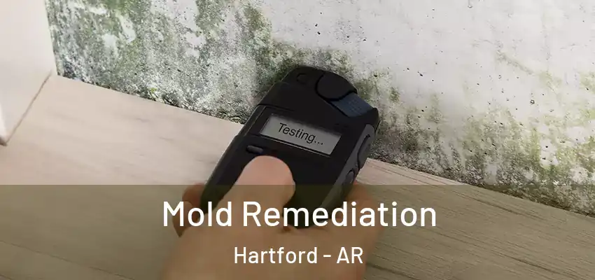  Mold Remediation Hartford - AR