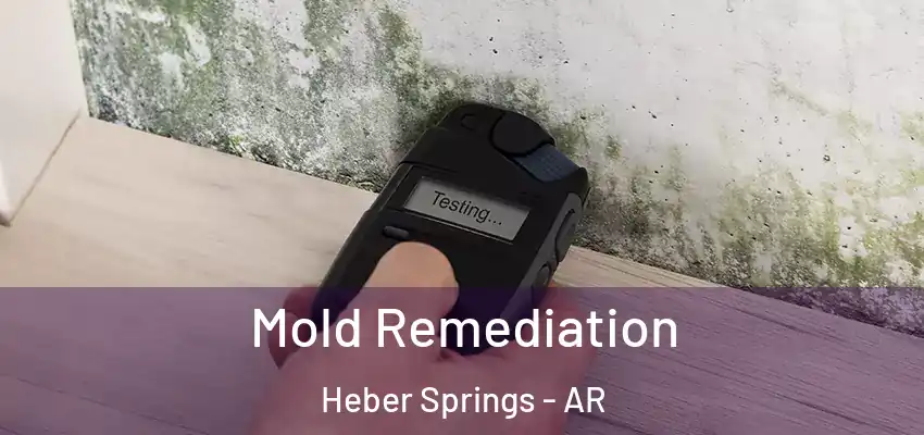  Mold Remediation Heber Springs - AR