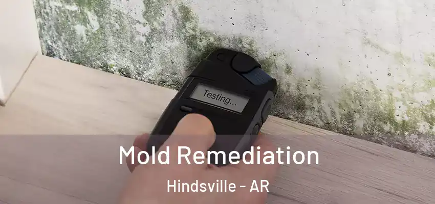  Mold Remediation Hindsville - AR