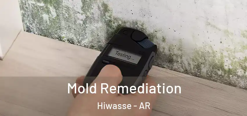 Mold Remediation Hiwasse - AR