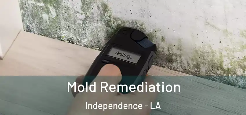  Mold Remediation Independence - LA