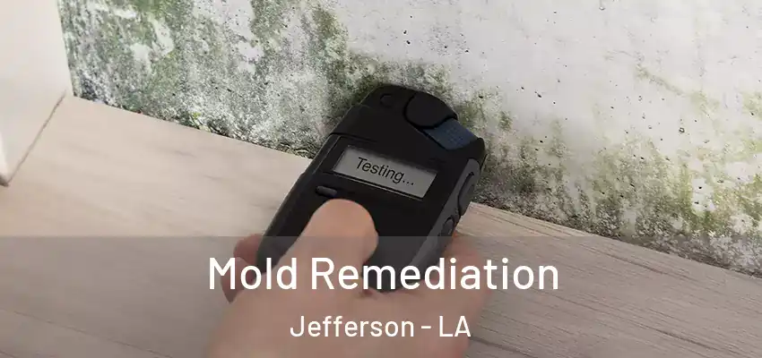  Mold Remediation Jefferson - LA